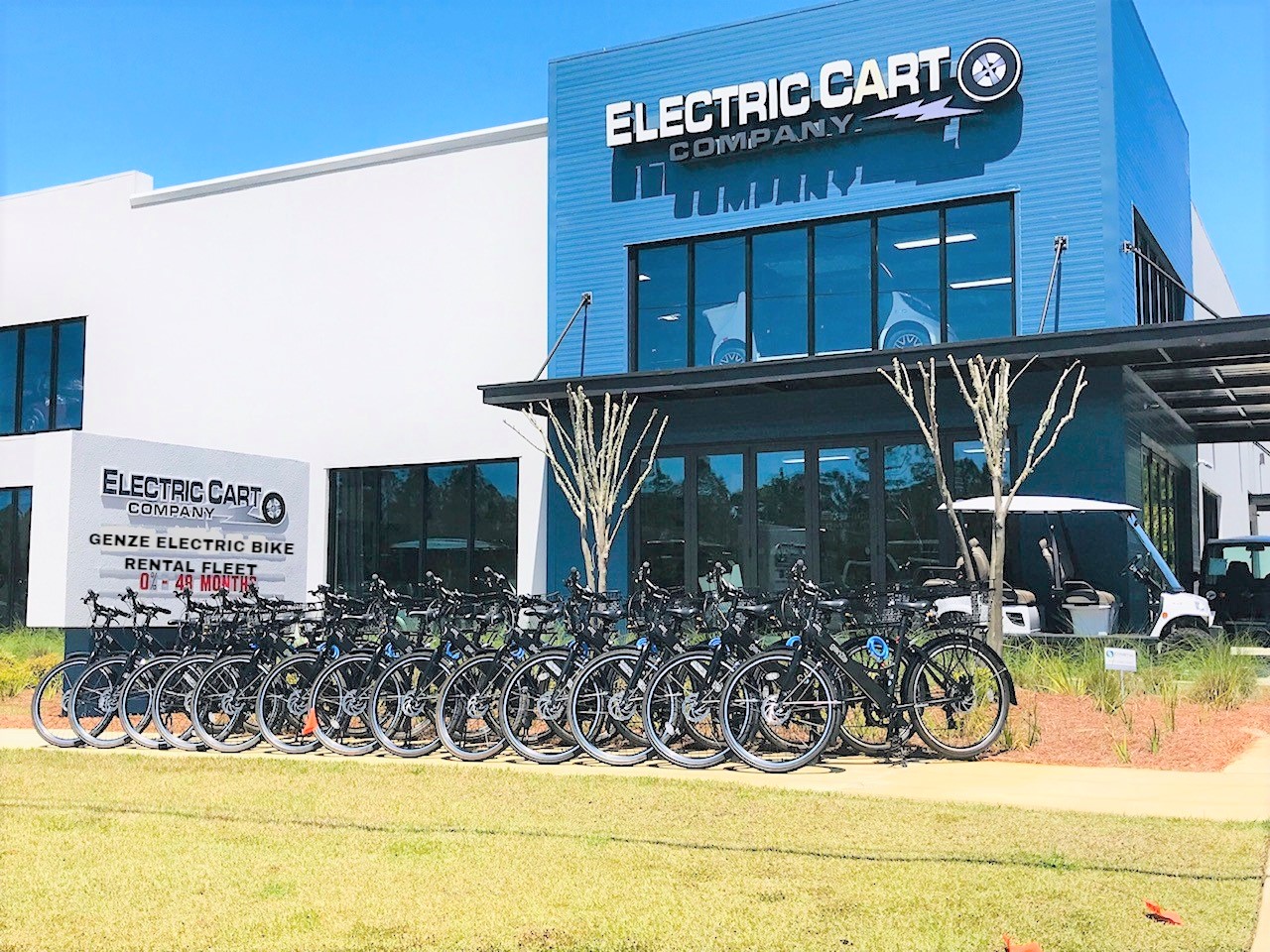 2018 Club Car&reg; Precedent for sale in Electric Cart Company, Santa Rosa Beach, Florida
