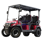 Shop Epic carts in Santa Rosa Beach, FL